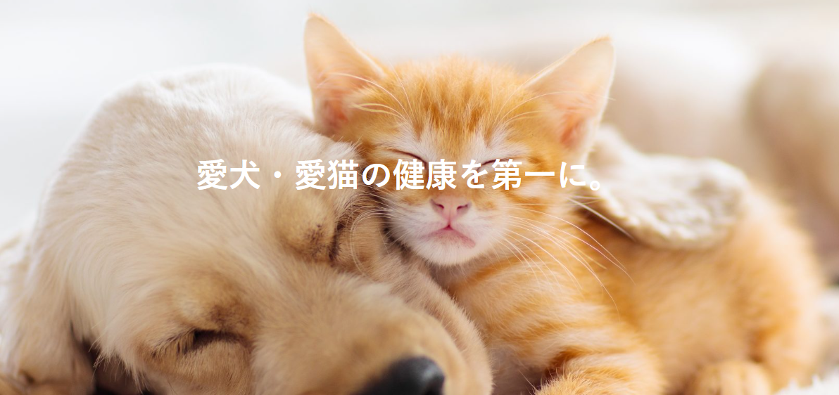 ���ɂ��x�X�g�ŕs�p�i����|�P�b�g�ޗǂ��f�ڂ���܂����B